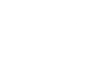 hulu-logo-white